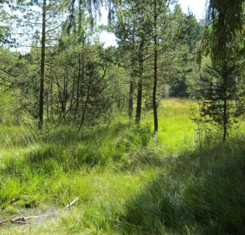 Haus Beate, Fewo Im Bienenparadies Kirchberg
